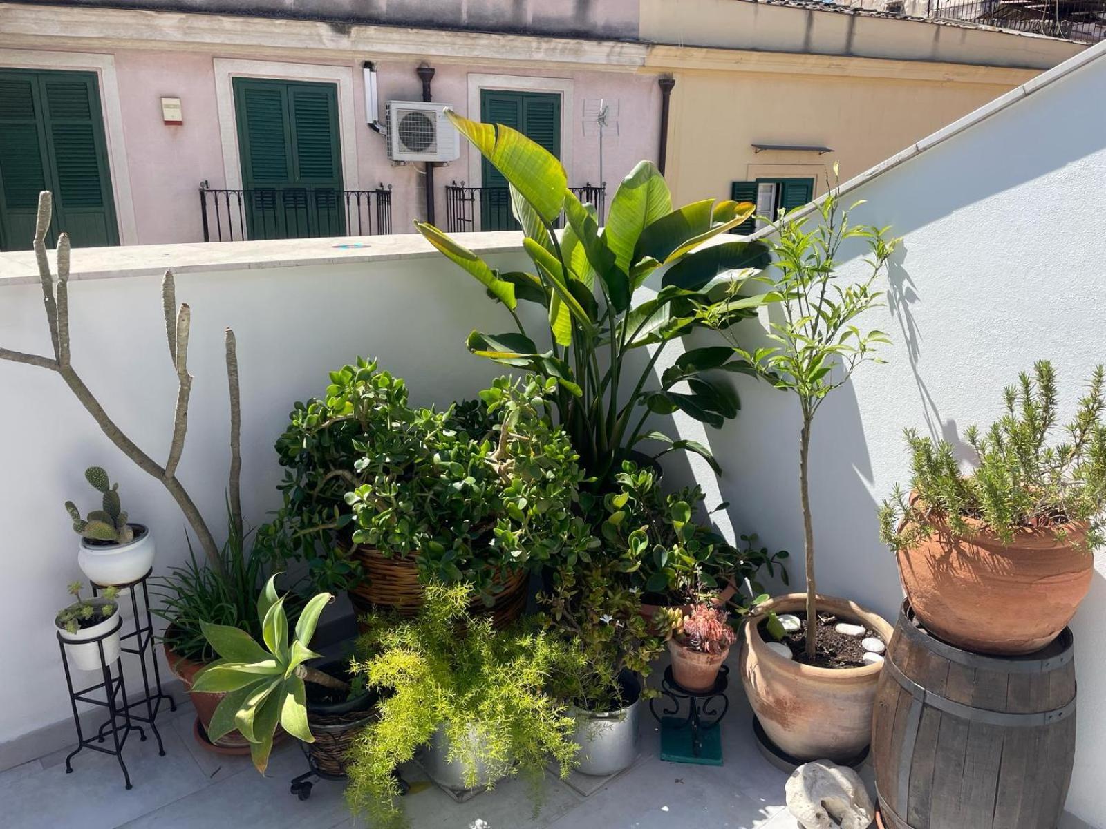 Terrazza Alla Cala Palermo Esterno foto